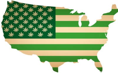 Cannabis Legalization News