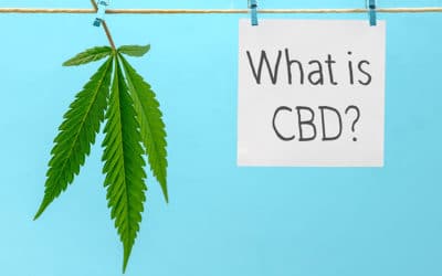 What Are CBDs