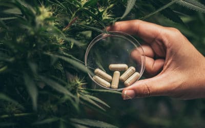 Cannabis Tablets For A Precise Dose