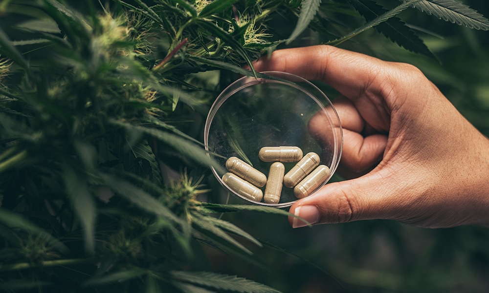 Cannabis Tablets For A Precise Dose