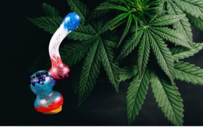 Bubblers What They Are And Why You Need One