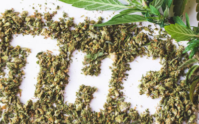 A Primer On The Different Types Of THC